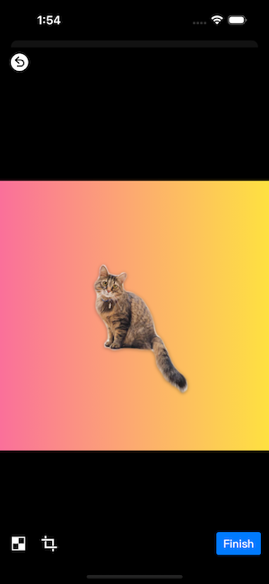 App screenshot