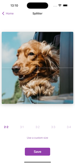 App screenshot
